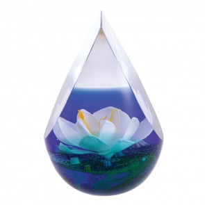 Royal Botanical Garden - Water Lily - Nymphaea - Limited Edition of 150 (Up to 14 day delivery)