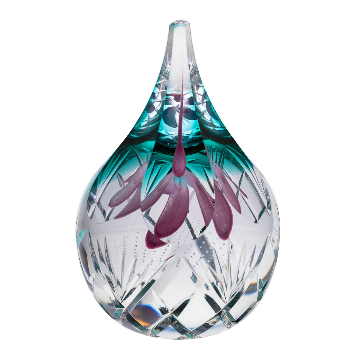 Fuschia Fantasy LE30