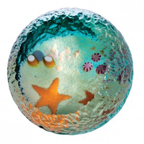 Seabed - Starfish