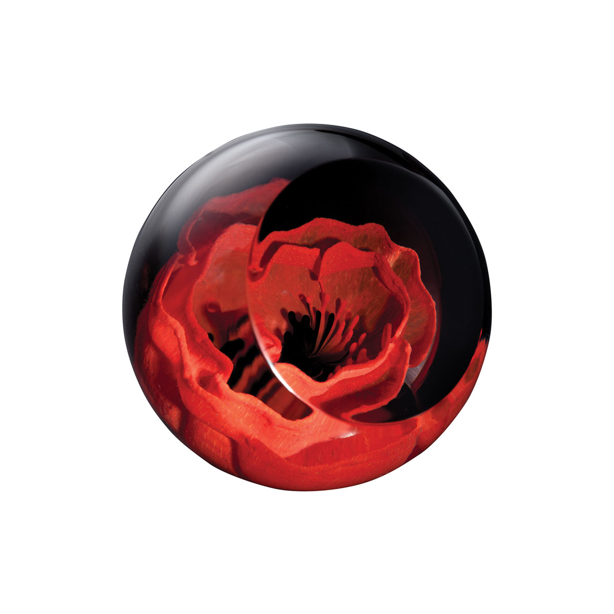 Remembrance Poppy Paperweight